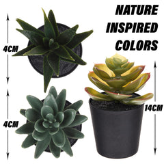Heart Home Flowers Succulent Plant | Artificial Succulent Plant for office | Flower Succulent Plant for Outdoor | Succulent Plant for Home Décor | Pack of 6 | Black