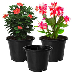 Kuber Industries Plastic Planters|Gamla|Flower Pots for Garden Nursery Home Décor,8"x6",Pack of 3 (Black)