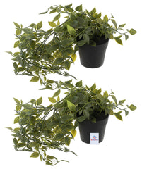 Heart Home Artificial Vine Plants with Pot|Natural Look & Plastic Material|Easy Home Décor with Small Size Pot|Size 27 x 75 x7 CM, Pack of 2 (Green)