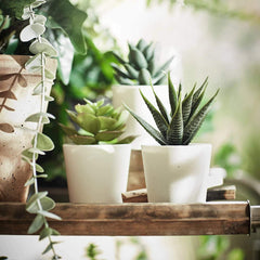 Heart Home Artificial Set of 3 Mini Realistic Fake Plants with Plastic Pots for Home and Office Decoration (Green), Standard (HS39HEARTH023711)