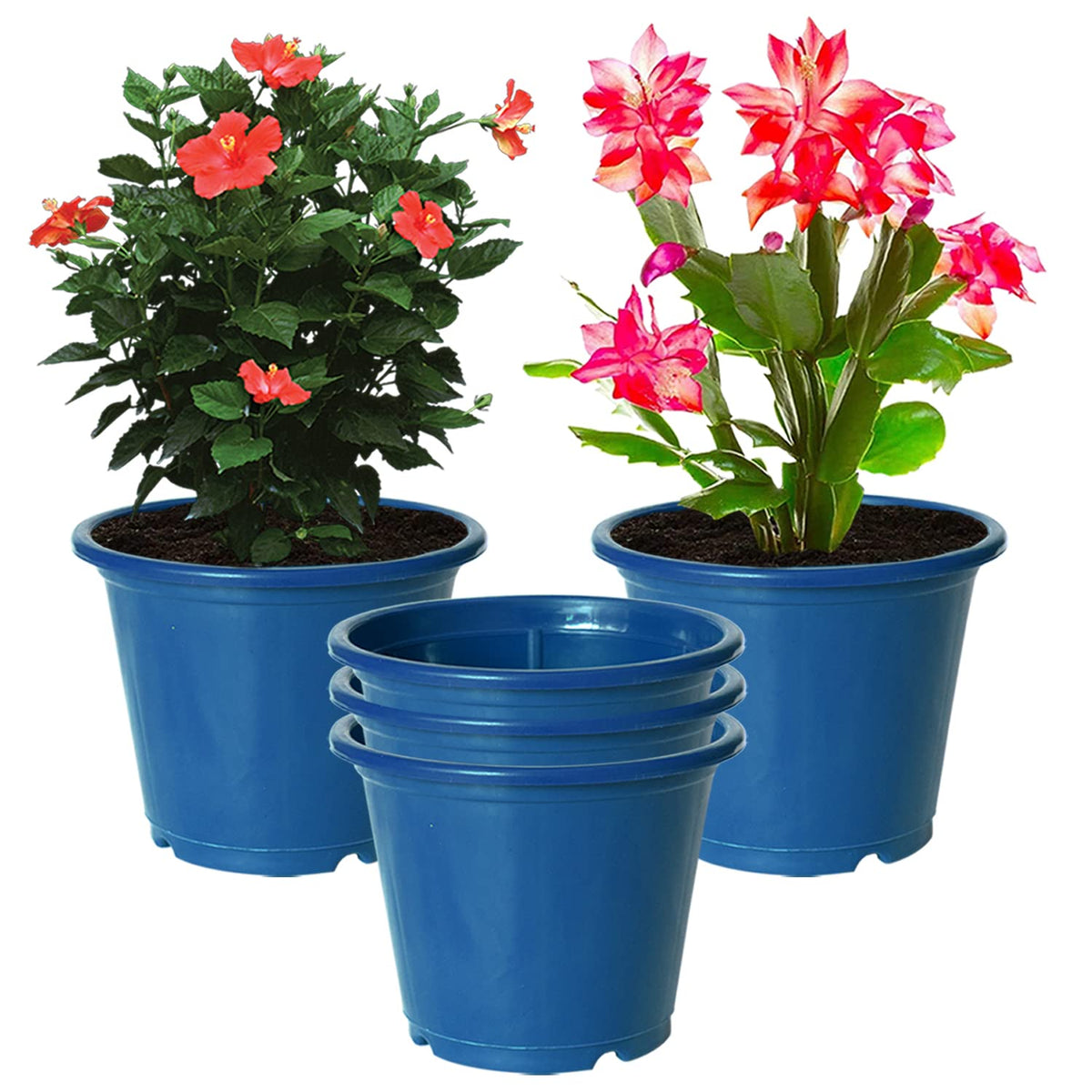 Kuber Industries Plastic Planters|Gamla|Flower Pots for Garden Nursery Home Décor,8"x6",Pack of 5 (Blue)