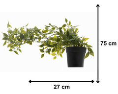 Heart Home Artificial Vine Plants with Pot|Natural Look & Plastic Material|Easy Home Décor with Small Size Pot|Size 27 x 75 x 7 CM, Pack of 1 (Green)