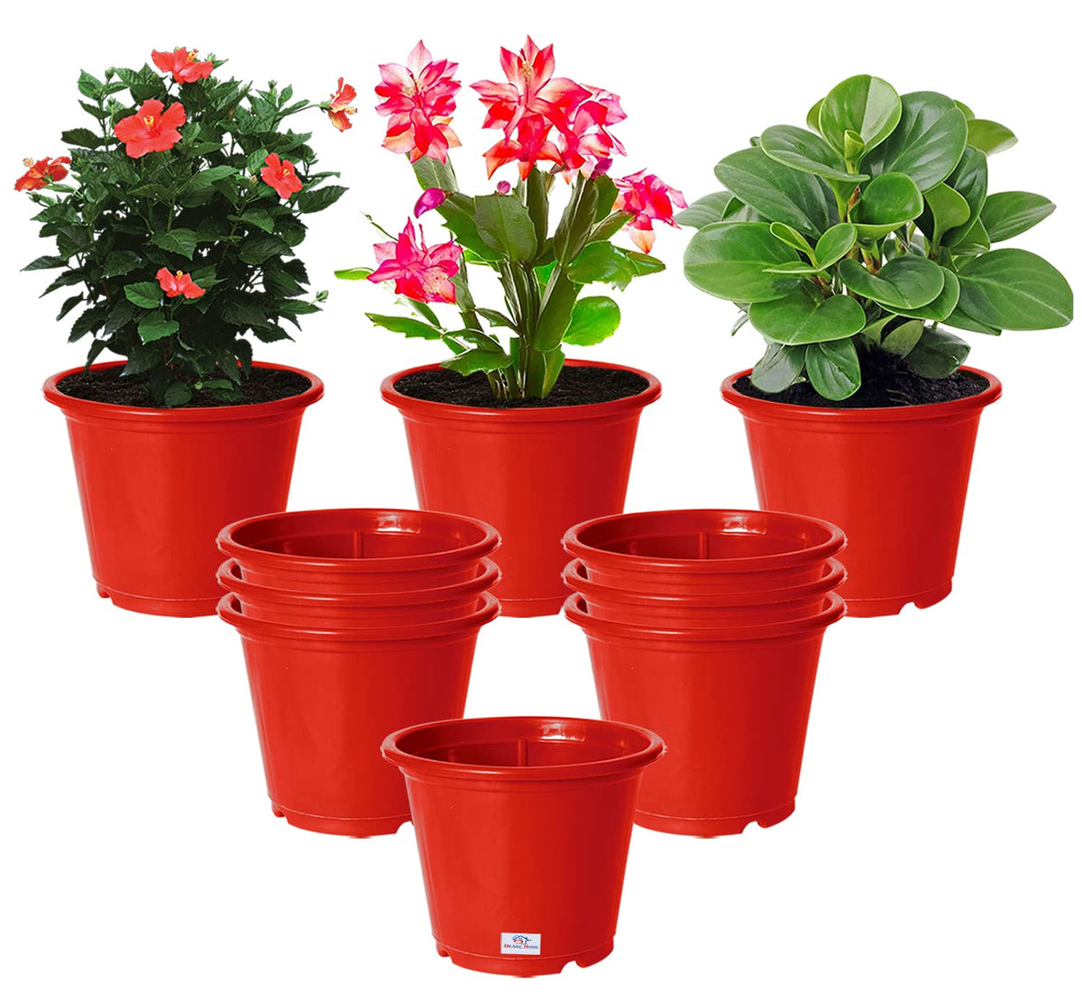 Heart Home Durable Plastic Flower Pot|Gamla with Drain Holes for Indoor Home Decor & Outdoor Balcony,Garden,6"x5",Pack of 10 (Red)