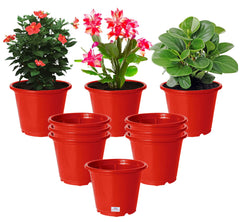 Heart Home Durable Plastic Flower Pot|Gamla with Drain Holes for Indoor Home Decor & Outdoor Balcony,Garden,6"x5",Pack of 10 (Red)