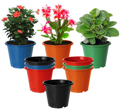 Kuber Industries Durable Plastic Flower Pot|Gamla for Indoor Home Decor & Outdoor Balcony,Garden,6"x5",Pack of 10 (Multicolor)