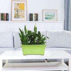 Heart Home Rectangular Jupiter Plastic Window Pot|Flower Planter for Home & Balcony,Garden 14 Inches Pack of 5 (Green)