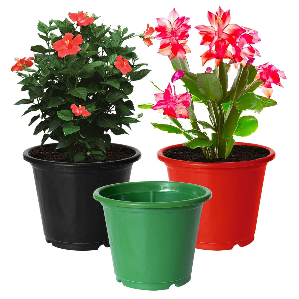 Kuber Industries Plastic Planters|Gamla|Flower Pots for Garden Nursery Home Décor,8"x6",Pack of 3 (Green,Red,Black)