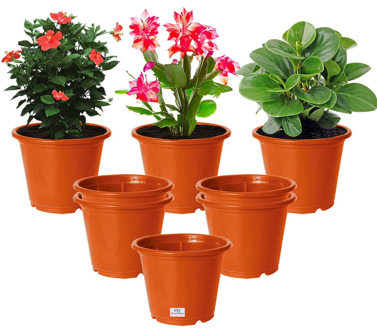 Heart Home Plastic Planters|Gamla|Flower Pots for Garden Nursery Home Décor,8"x6",Pack of 8 (Orange)