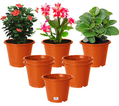 Heart Home Plastic Planters|Gamla|Flower Pots for Garden Nursery Home Décor,8"x6",Pack of 8 (Orange)
