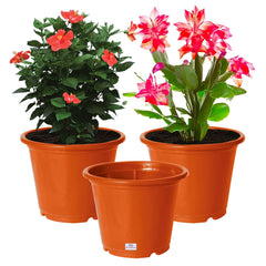 Heart Home Durable Plastic Flower Pot|Gamla with Drain Holes for Indoor Home Decor & Outdoor Balcony,Garden,6"x5",Pack of 3 (Orange)