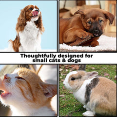 Kuber Industries Dog Food Bowl|Stainless Steel,PVC Material Dog Bowls|Non Slip,Durable,Sturdy,Non Toxic|Perfect Dog Accessories for Indoor & Outdoor Use|A1009B|Blue