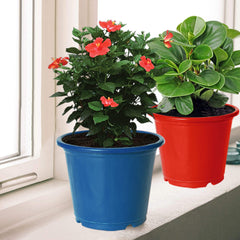 Kuber Industries Plastic Planters|Gamla|Flower Pots for Garden Nursery Home Décor,8"x6",Pack of 5 (Multicolor)