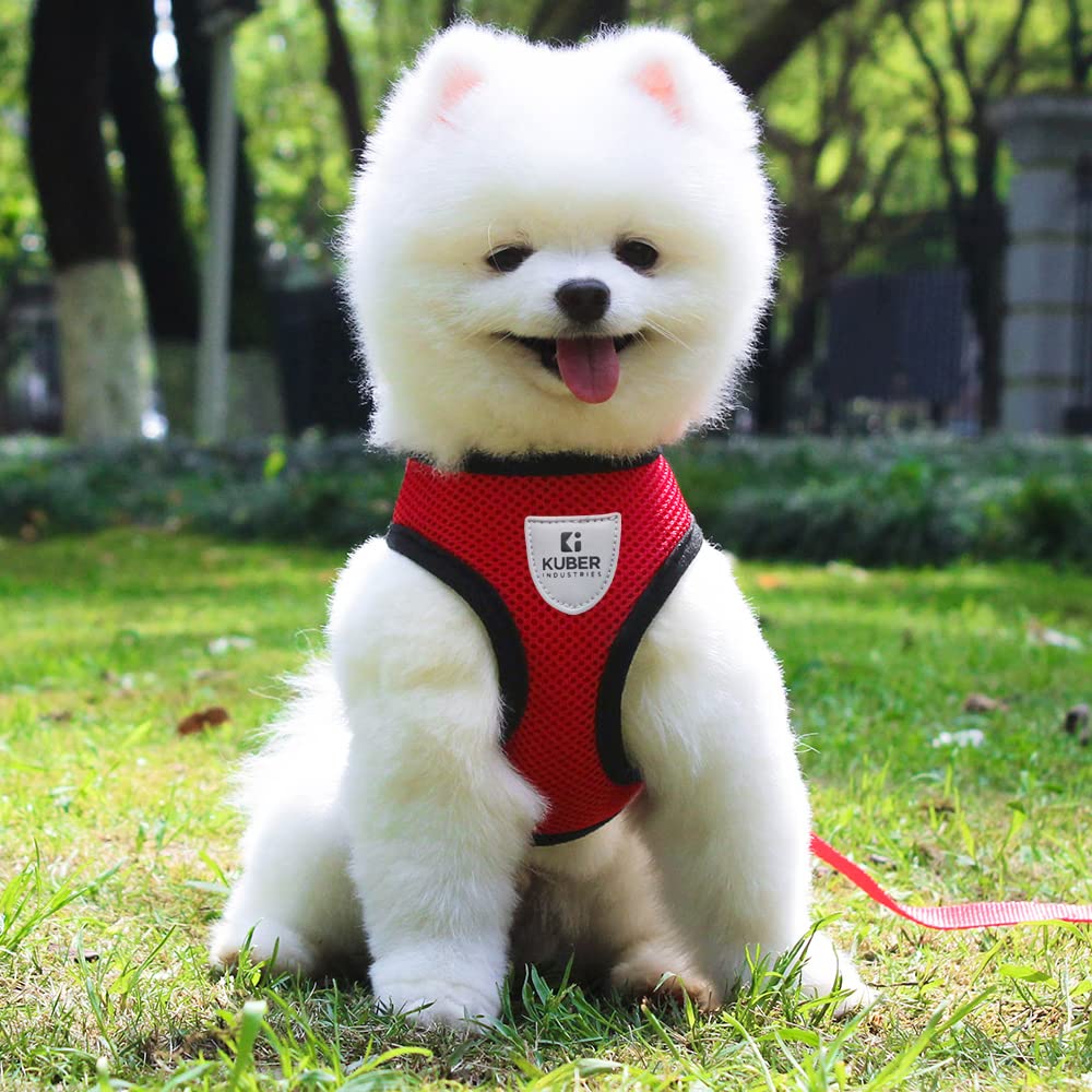 Kuber Industries Small Dog/Cat Chest Harness with Nylon Leash I No Pull, Soft Padded and Breathable Pet Vest I Adjustable, Reflective I Easy Control Pet Chest Belt I (Small,Red)