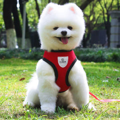 Kuber Industries Small Dog/Cat Chest Harness with Nylon Leash I No Pull, Soft Padded and Breathable Pet Vest I Adjustable, Reflective I Easy Control Pet Chest Belt I (Small,Red)