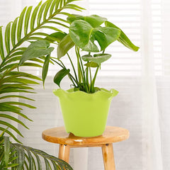 Heart Home Blossom Flower Pot|Durable Plastic Flower Pot|Gamla with Drain Holes for Home Décor|Balcony|Garden|8 Inch|Pack of 5 (Green)