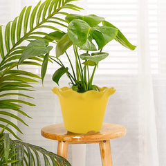 Heart Home Blossom Flower Pot|Durable Plastic Flower Pot|Gamla with Drain Holes for Home Décor|Balcony|Garden|8 Inch|Pack of 4 (Yellow)