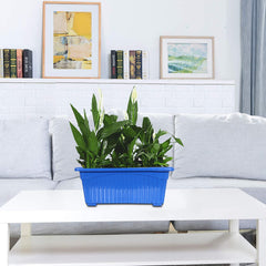 Kuber Industries Rectangular Jupiter Plastic Window Pot|Flower Planter for Home & Balcony,Garden 14 Inches Pack of 2 (Blue)