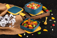Kuber Industries Lunch Box|Unbreakable Plastic 2 Squre Containers Tiffin with Handle|Durable Lunch Box with (1000 ML)