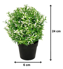 Kuber Industries Faux Plants Artificial Plants with Mini Plastic Pot- Pack of 2 (Green)-HS_38_KUBMART21466