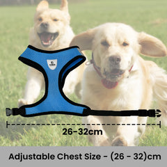 Kuber Industries Small Dog/Cat Chest Harness with Nylon Leash I No Pull, Soft Padded and Breathable Pet Vest I Adjustable, Reflective I Easy Control Pet Chest Belt I (XX-Small,Blue)