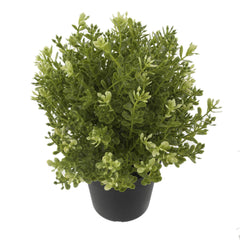 Kuber Industries Mini Plastic Potted Plants for Home Office Decoration, Plastic Plant with Black Plastic Pots, Fake Plant for Bathroom Décor, Green-KUBMART11596