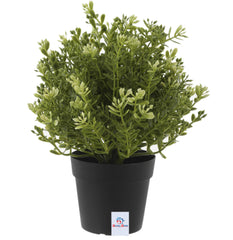 Heart Home 3 Pcs Artificial Plants Small Potted in Black Pot Plastic Fake Green Plant for Office Home Decor Faux Plant for Hanging Baskets, Green-HEARTXY11601 (Model Number: HEARTXY011601)
