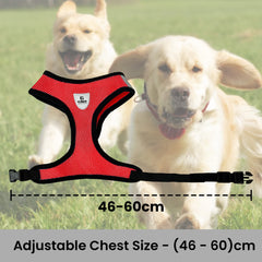 Kuber Industries Small Dog/Cat Chest Harness with Nylon Leash I No Pull, Soft Padded and Breathable Pet Vest I Adjustable, Reflective I Easy Control Pet Chest Belt I (Small,Red)