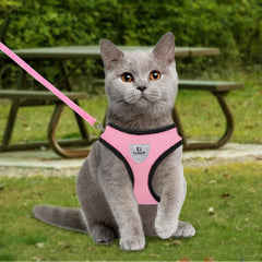 Kuber Industries Small Dog/Cat Chest Harness with Nylon Leash I No Pull, Soft Padded and Breathable Pet Vest I Adjustable, Reflective I Easy Control Pet Chest Belt I (Small,Pink)