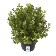 Heart Home 3 Pcs Artificial Plants Small Potted in Black Pot Plastic Fake Green Plant for Office Home Decor Faux Plant for Hanging Baskets, Green-HEARTXY11601 (Model Number: HEARTXY011601)